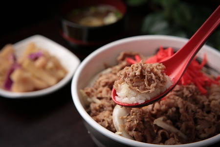 Gyudonの写真素材