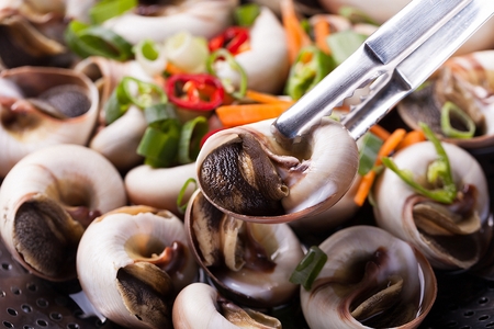 Steamed freshwater snails, Korean cuisineの写真素材