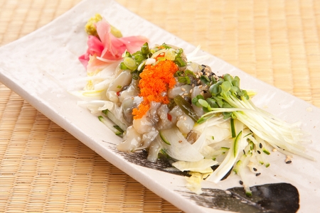 Taco wasabiの写真素材