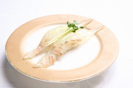 white fish sushi on plate, white backgroundの写真素材