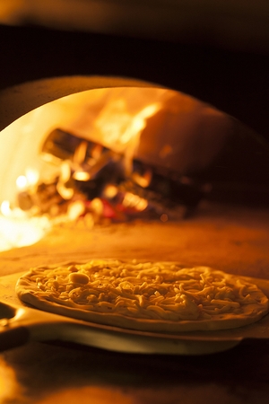 Gorgonzola pizzaの写真素材