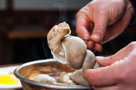 Steamed whelkの写真素材