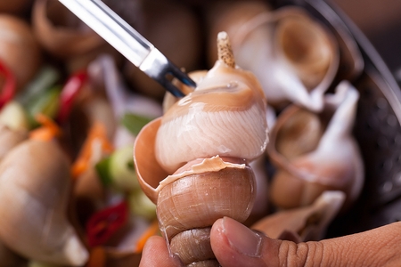 Steamed whelkの写真素材