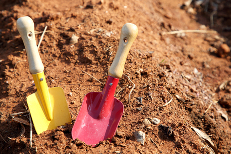 Ecology concept photo, gardening in a vegetable garden in spring 136の写真素材
