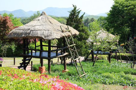 Flowers garden, it's good way to enjoy the sun and nature. 106の写真素材