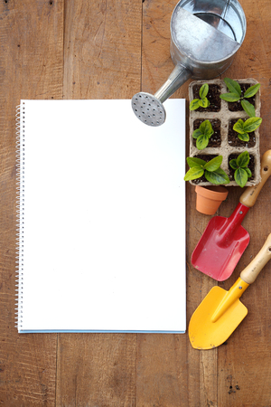 Ecology concept photo, gardening in a vegetable garden in spring 159の写真素材