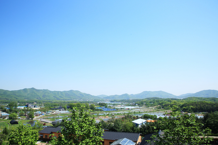 Flowers garden, it's good way to enjoy the sun and nature. 141の写真素材