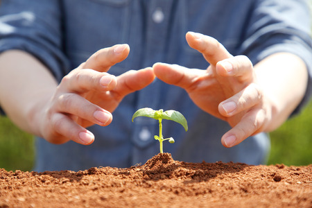 Ecology concept photo, gardening in a vegetable garden in spring 068