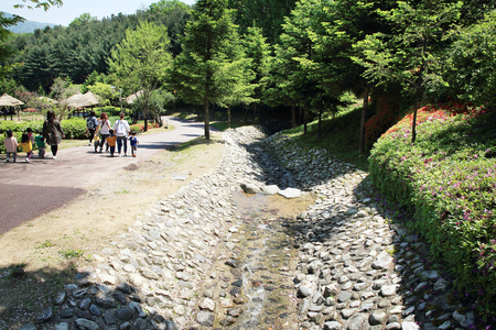 Flowers garden, it's good way to enjoy the sun and nature. 167の写真素材