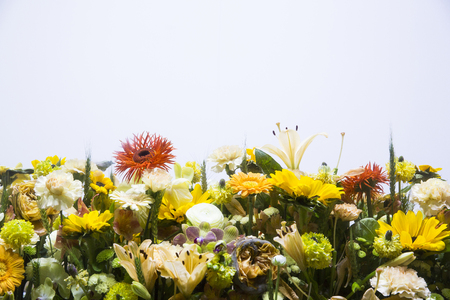 The Flower Garden, many different flowersin the garden are beautiful. 095の写真素材