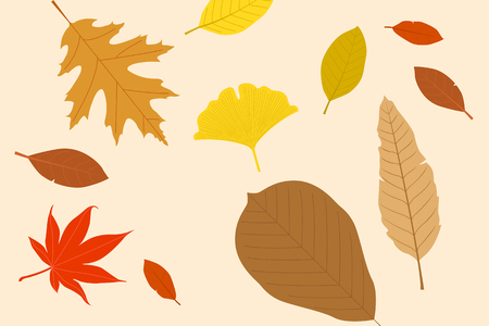 Beautiful autumn scene, colorful autumn leaves and pumpkin and nature landscape vector illustrationのイラスト素材