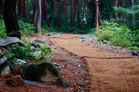 Autumn scenery of Chilbo Mountain Forest Park in Koreaの写真素材