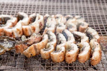 Grilled freshwater eels being grilled on charcoal