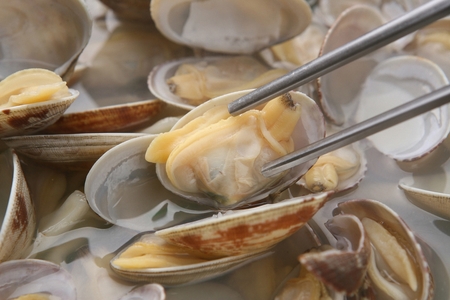 Chopsticks grabbing clams from bajirak kalguksu, a korean cuisine