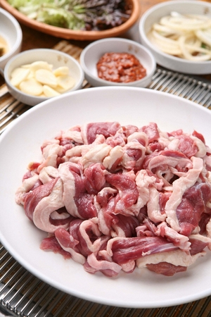 Raw duck, garlic, bean paste, on a white platesの写真素材