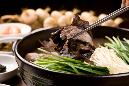 Duck soup with rice, a Korean cuisine, health food boiled with duck and medicine herbsの写真素材