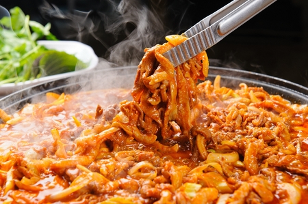 Duck bulgogi, a Korean cuisine, duck and vegetables stir-fried with spicy sauceの写真素材