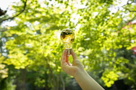 Greenery Concept photo, relaxing in nature. eco life and healing.