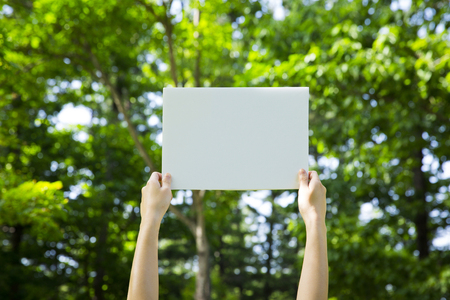 Greenery Concept photo, relaxing in nature. eco life and healing.の写真素材