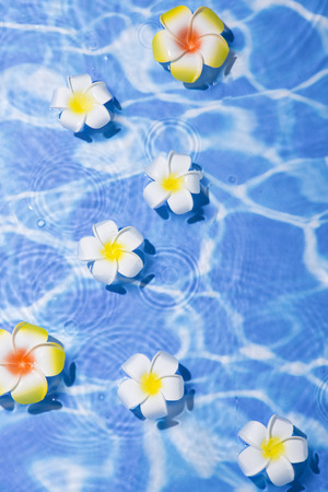 Summer holiday concept photo. vacation items and beach accessories in swimming pool or yellow background. 019の写真素材