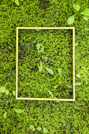 Greenery Concept photo, relaxing in nature. eco life and healing.の写真素材