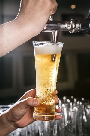 Bartender pouring beer on a long glassの写真素材