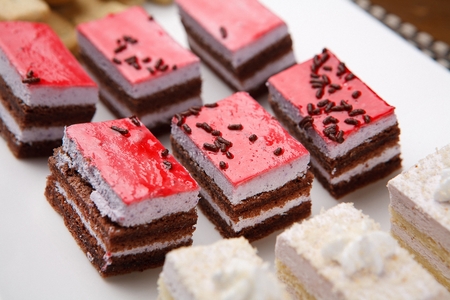 Slice of chocolate cake with blueberry cream, close-upの写真素材