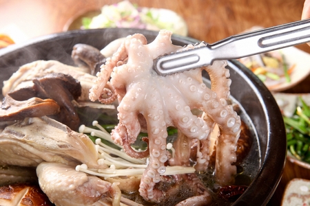 Boiled chicken cooked with medicinal herbs, small octopus, mushrooms on round bowlの写真素材