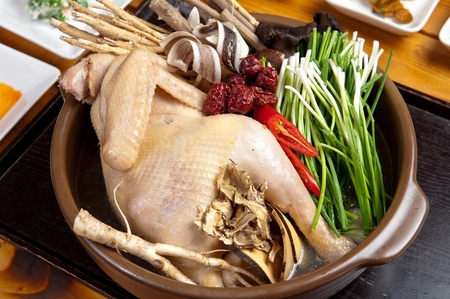 Oriental medicine whole chicken soup with jujube and ginger, in potの写真素材