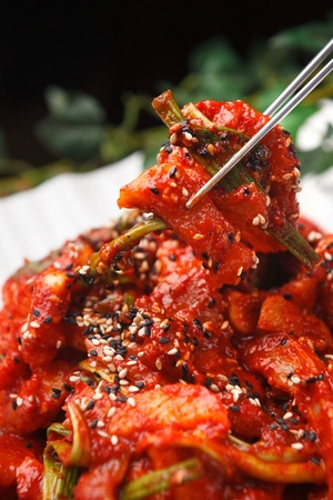 Chopsticks picking up Young skates and vegetables mixed in spicy sauce, on rectangular white plateの写真素材