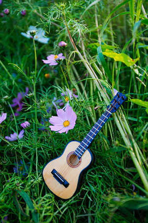 Autumn landscape, Cosmos flowers with various objects.の写真素材