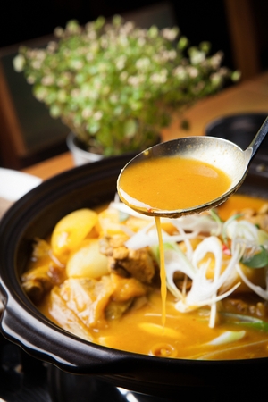Ladle scooping up broth from curry braised chicken with onions and seasoned green onions, in potの写真素材