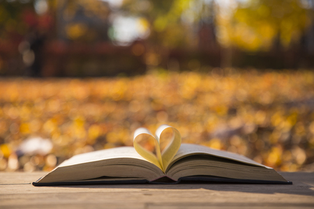 Colorful autumn landscape in parkの写真素材