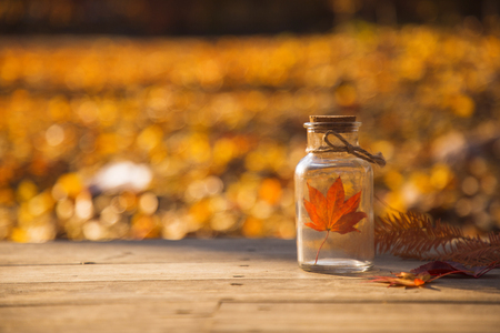 Colorful autumn landscape in parkの写真素材