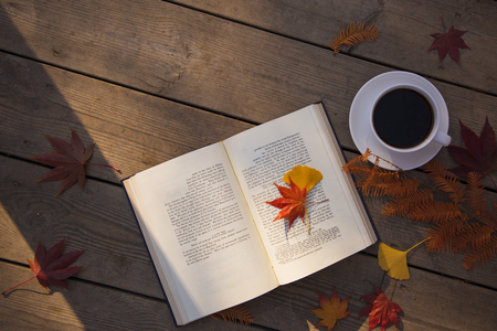Colorful autumn landscape in parkの写真素材