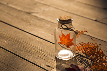 Colorful autumn landscape in parkの写真素材
