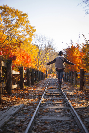 Colorful autumn landscape in parkの写真素材
