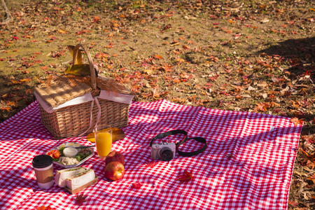 Colorful autumn landscape in parkの写真素材