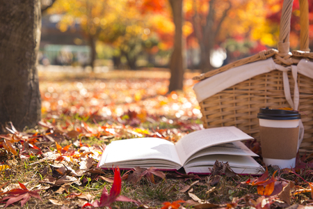 Colorful autumn landscape in parkの写真素材