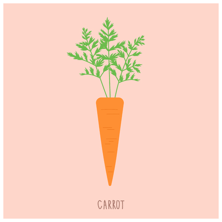 Simple carrot vector illustration.のイラスト素材