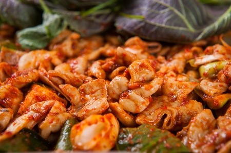 Korean cuisine Gopchang, spicy beef tripe with vegetables like spring onions and onions on grill panの写真素材