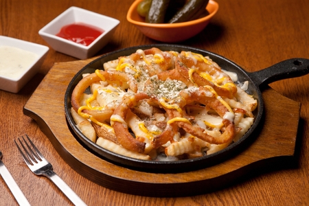 french fries with cheese onionsの写真素材