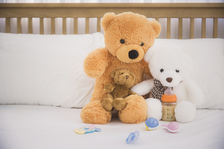 Teddy bear's daily routineの写真素材