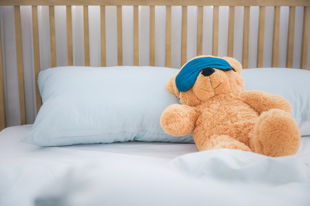 Teddy bear's daily routineの写真素材