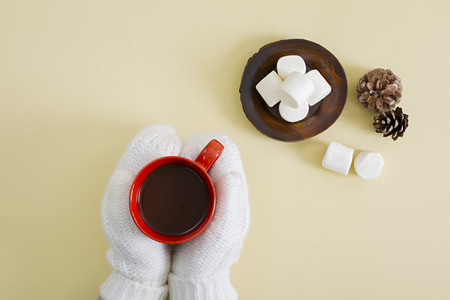 Korean people enjoy to eat various snack in winter time. Popular winter snack foods is hoppang, fish cake and so on.の写真素材