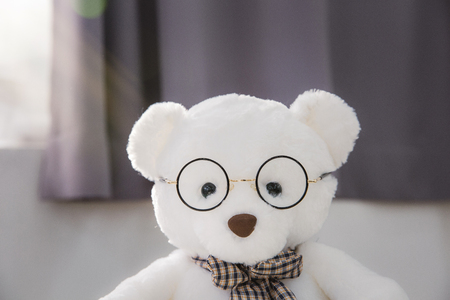 Teddy bear's daily routineの写真素材