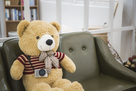 Teddy bear's daily routine