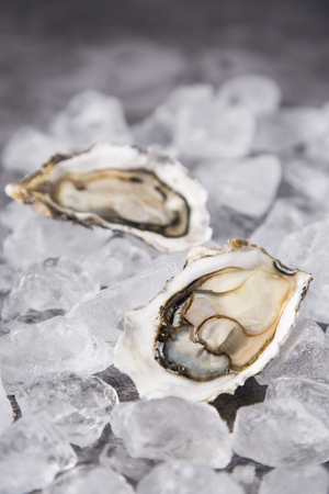 Close up of winter food ingredients Isolated on white background - salsify, oyster, mussel, shrimp and clamの写真素材