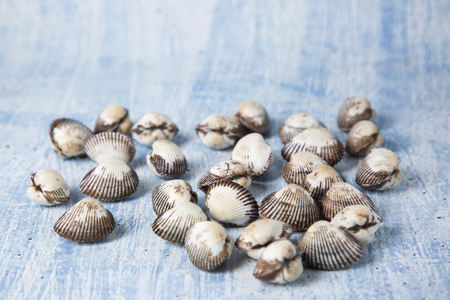 Close up of winter food ingredients Isolated on white background - salsify, oyster, mussel, shrimp and clamの写真素材
