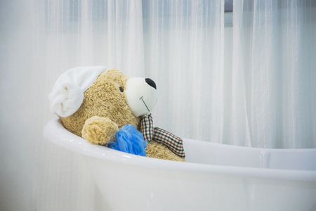 Teddy bear's daily routineの写真素材